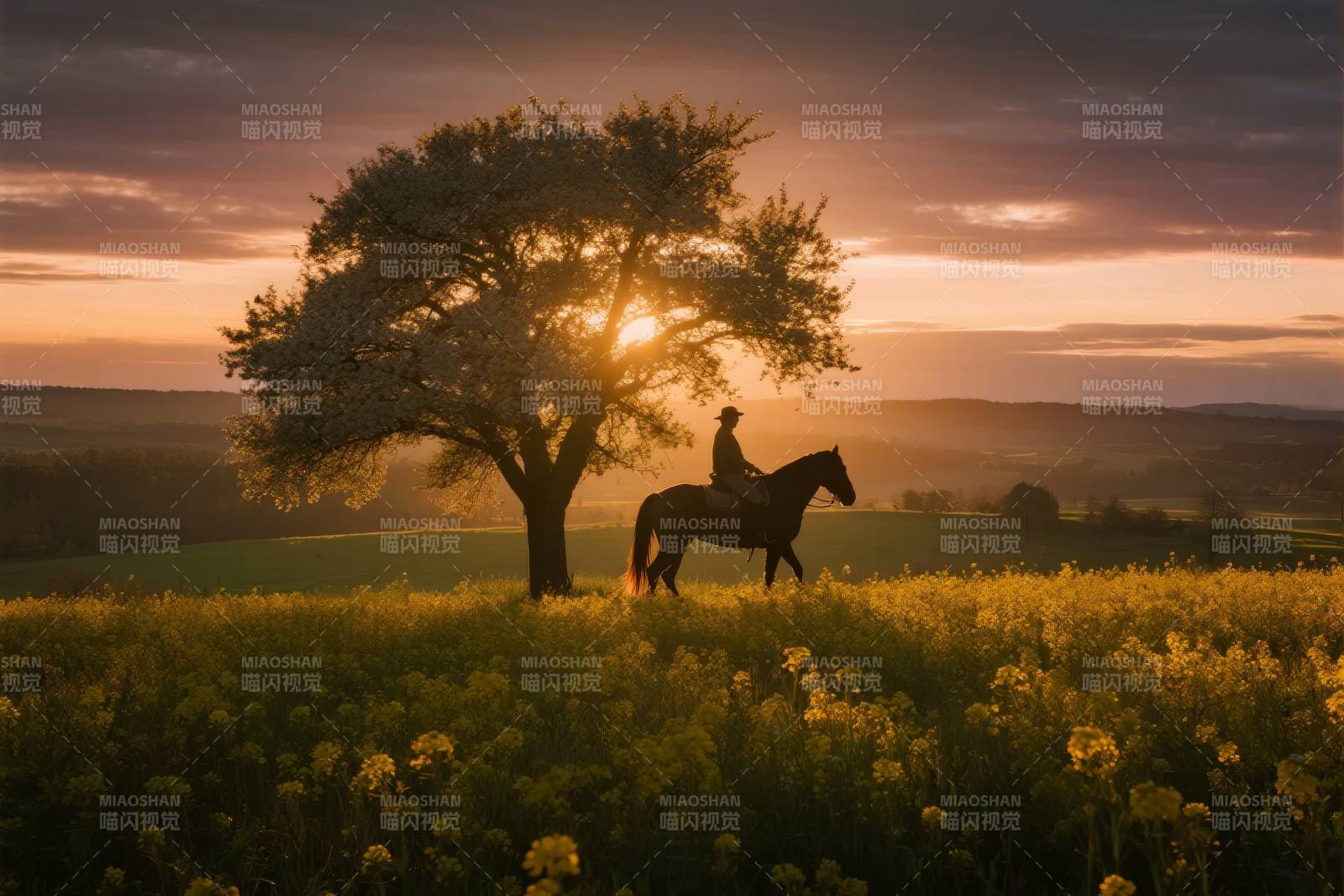 夕阳下的骑马人图片