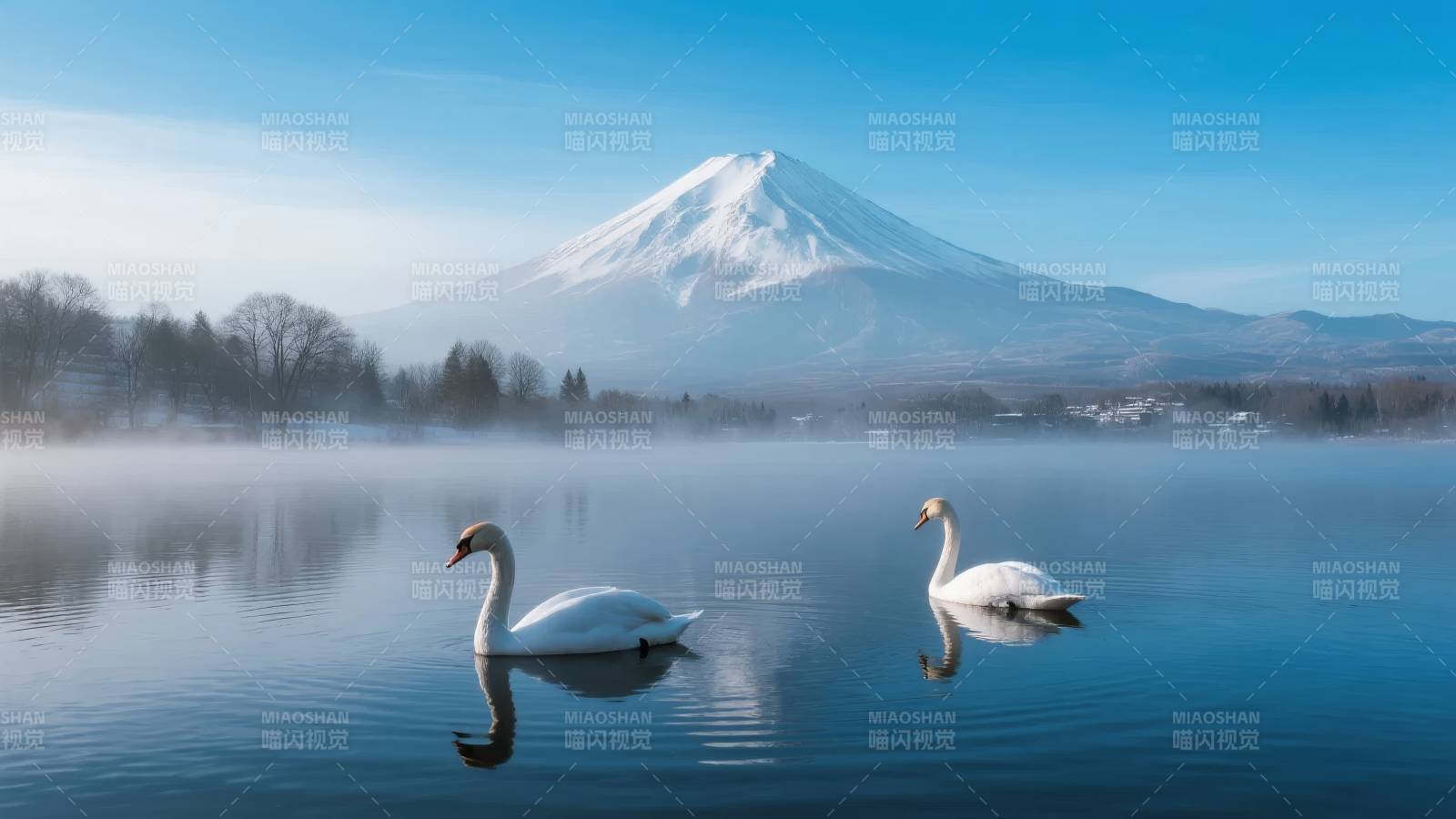 富士山下双天鹅图片