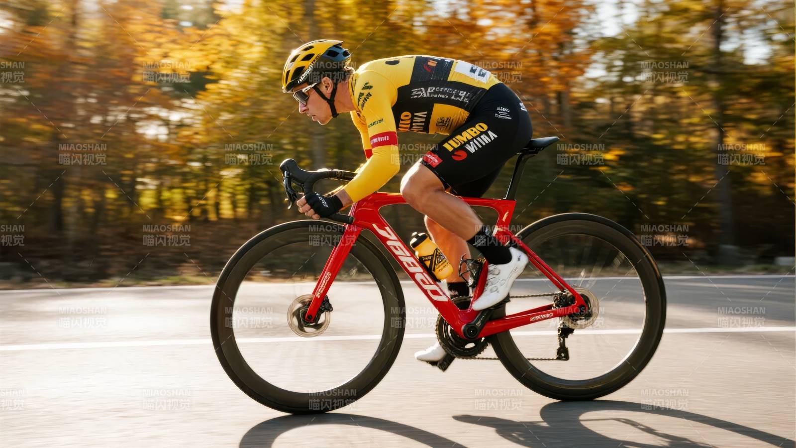 骑行者疾驰于秋日林道图片