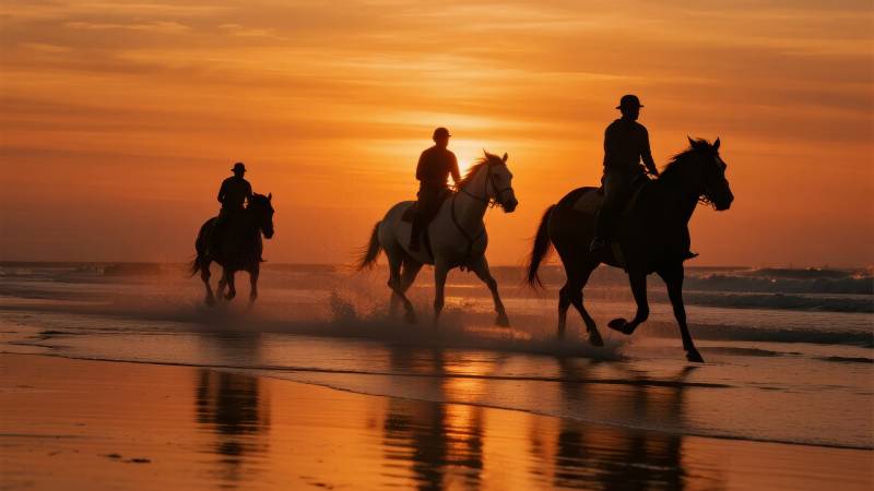 夕阳下的骑马剪影图片