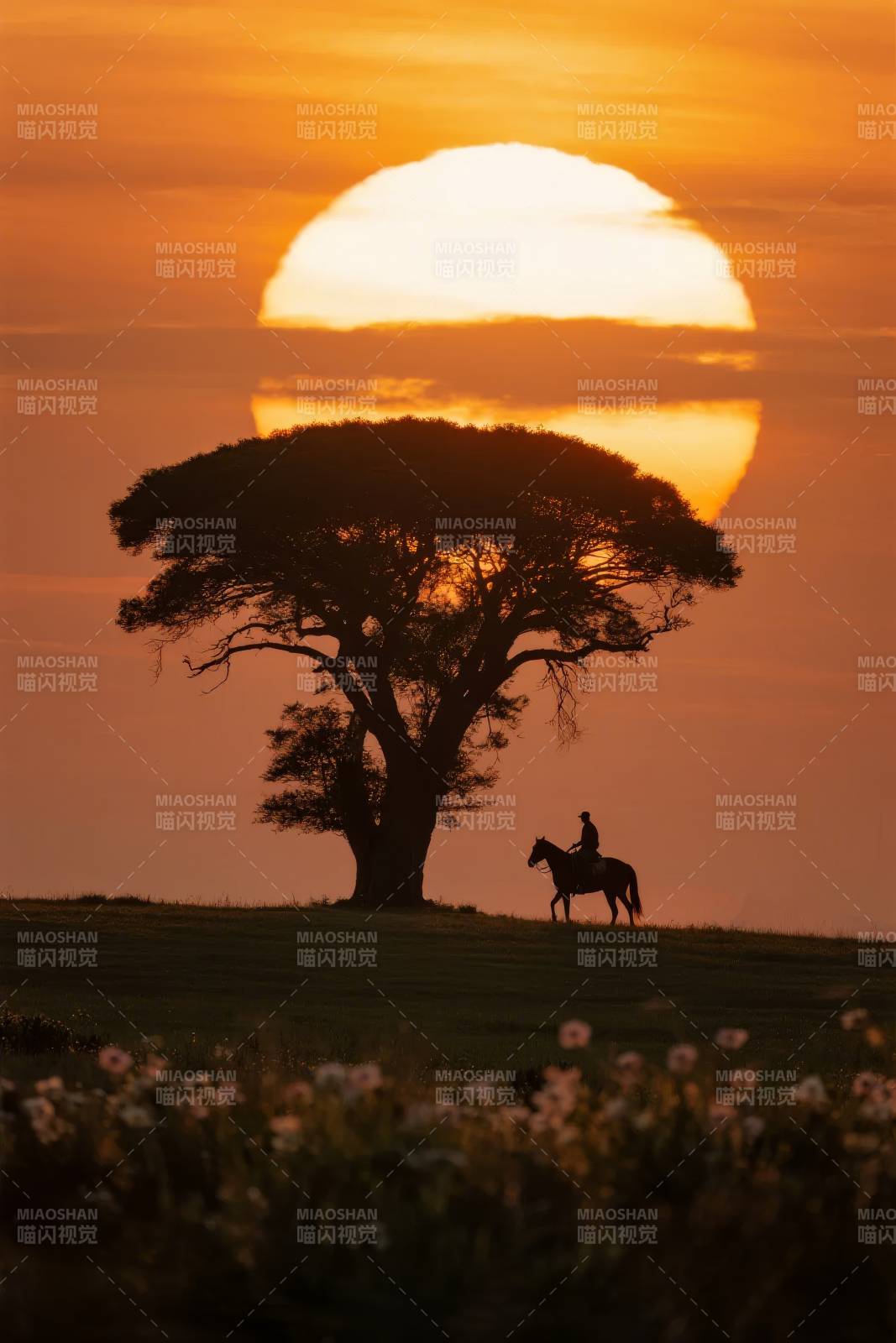 夕阳下的骑马人图片
