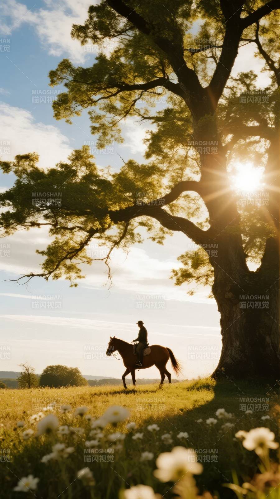 夕阳下的骑马人图片