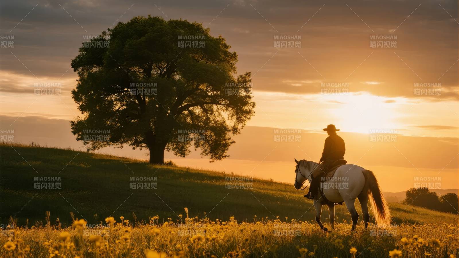 夕阳下的骑手图片