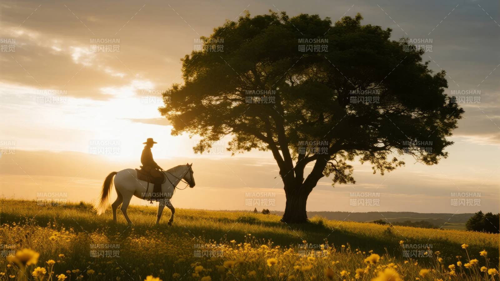 夕阳下骑马人影图片