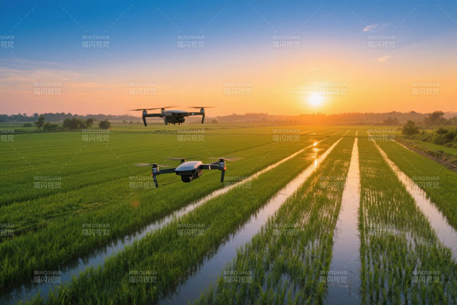 无人机耕作稻田图片