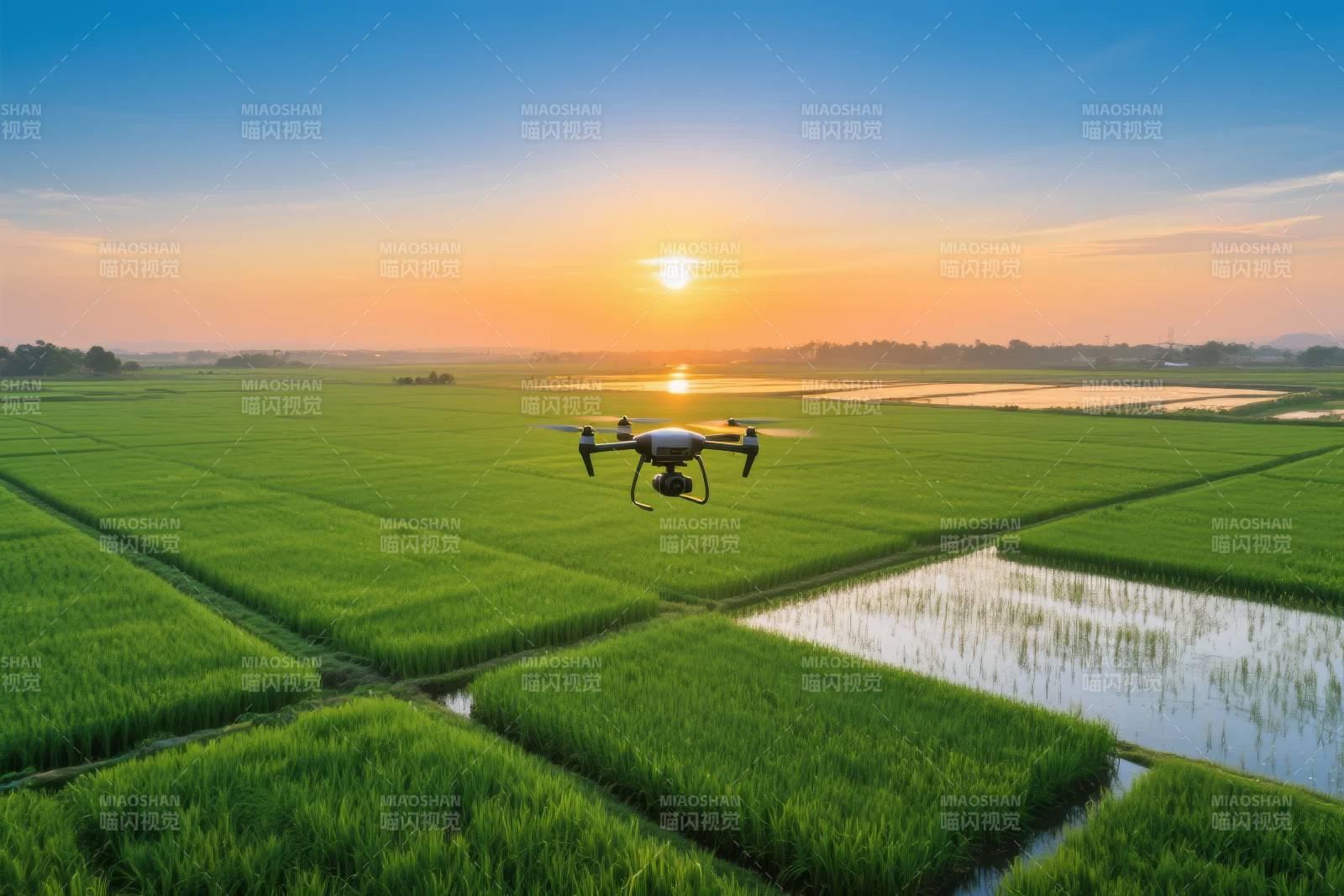 无人机巡田日出时图片