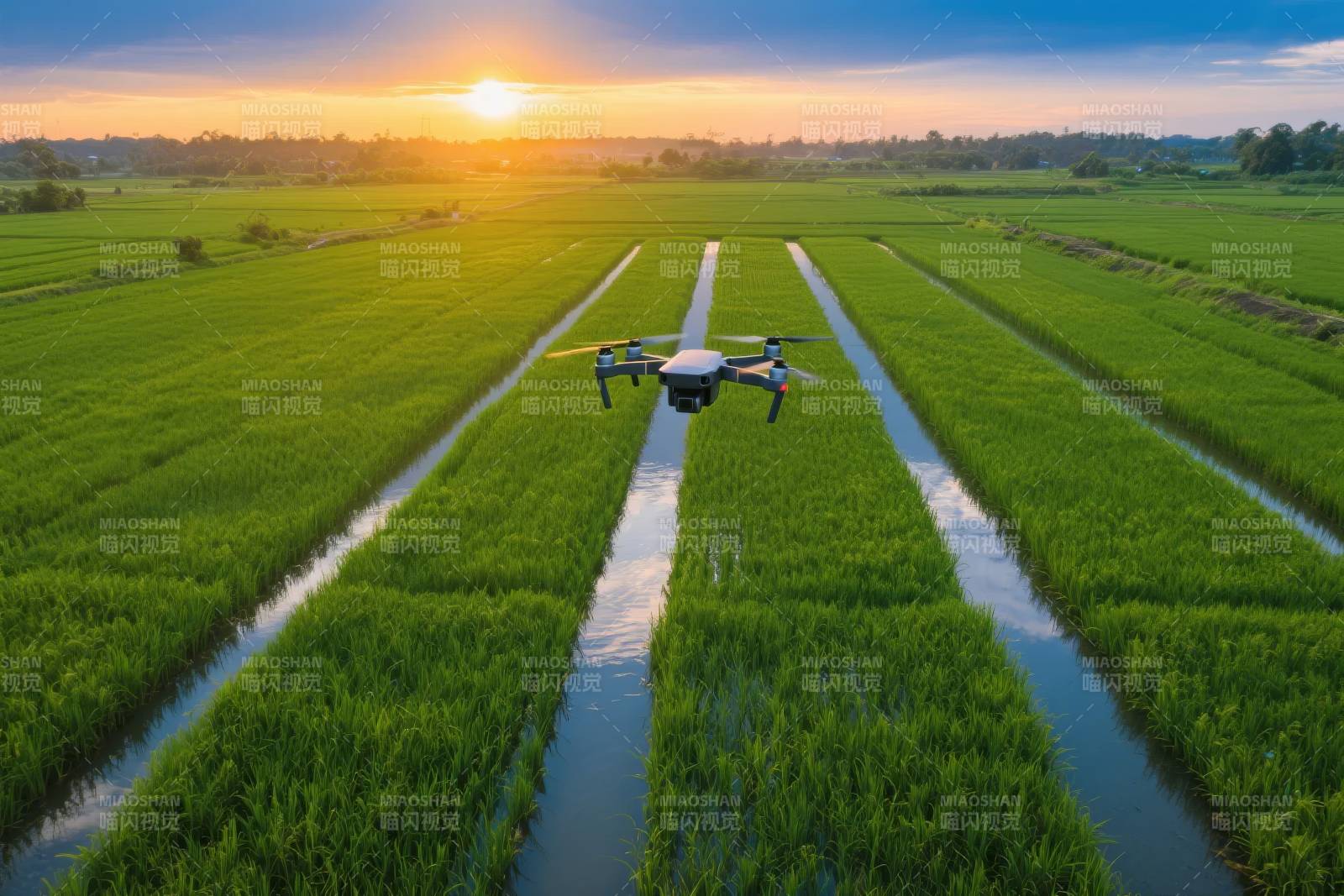 无人机耕作稻田图片