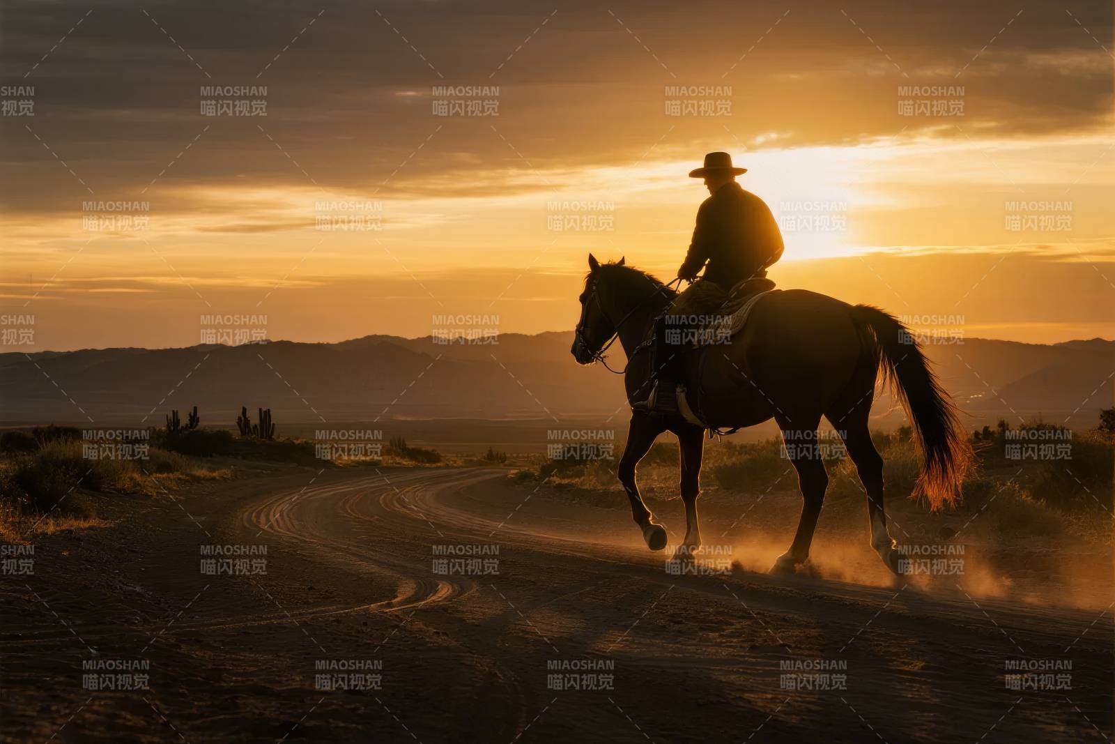夕阳下的骑士剪影图片