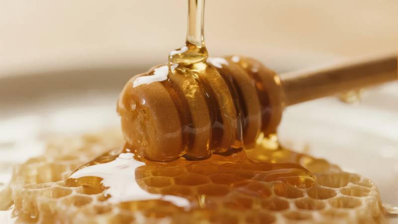 蜂蜜流淌在蜂巢上图片