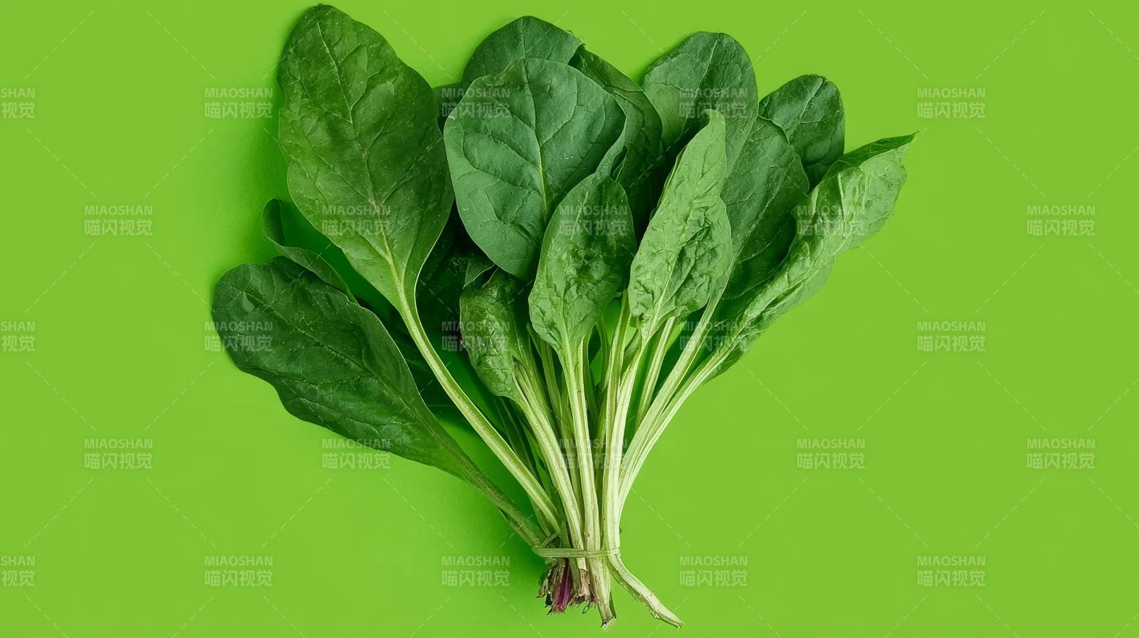 新鲜菠菜绿意盎然图片