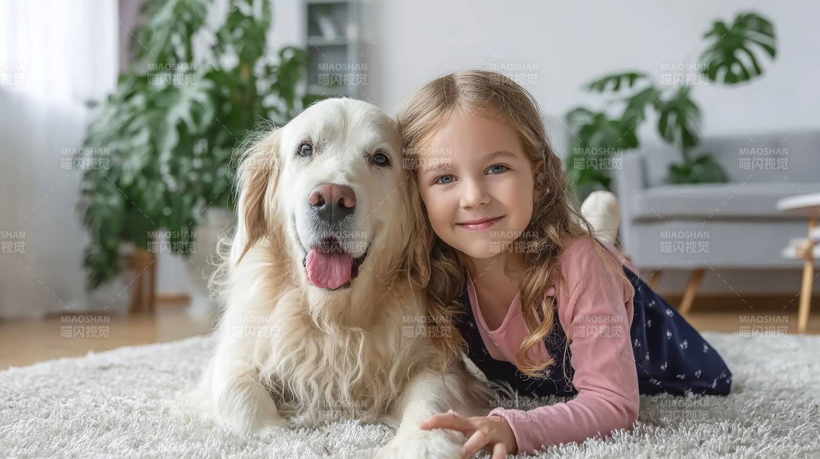 小女孩与金毛犬温馨相伴图片