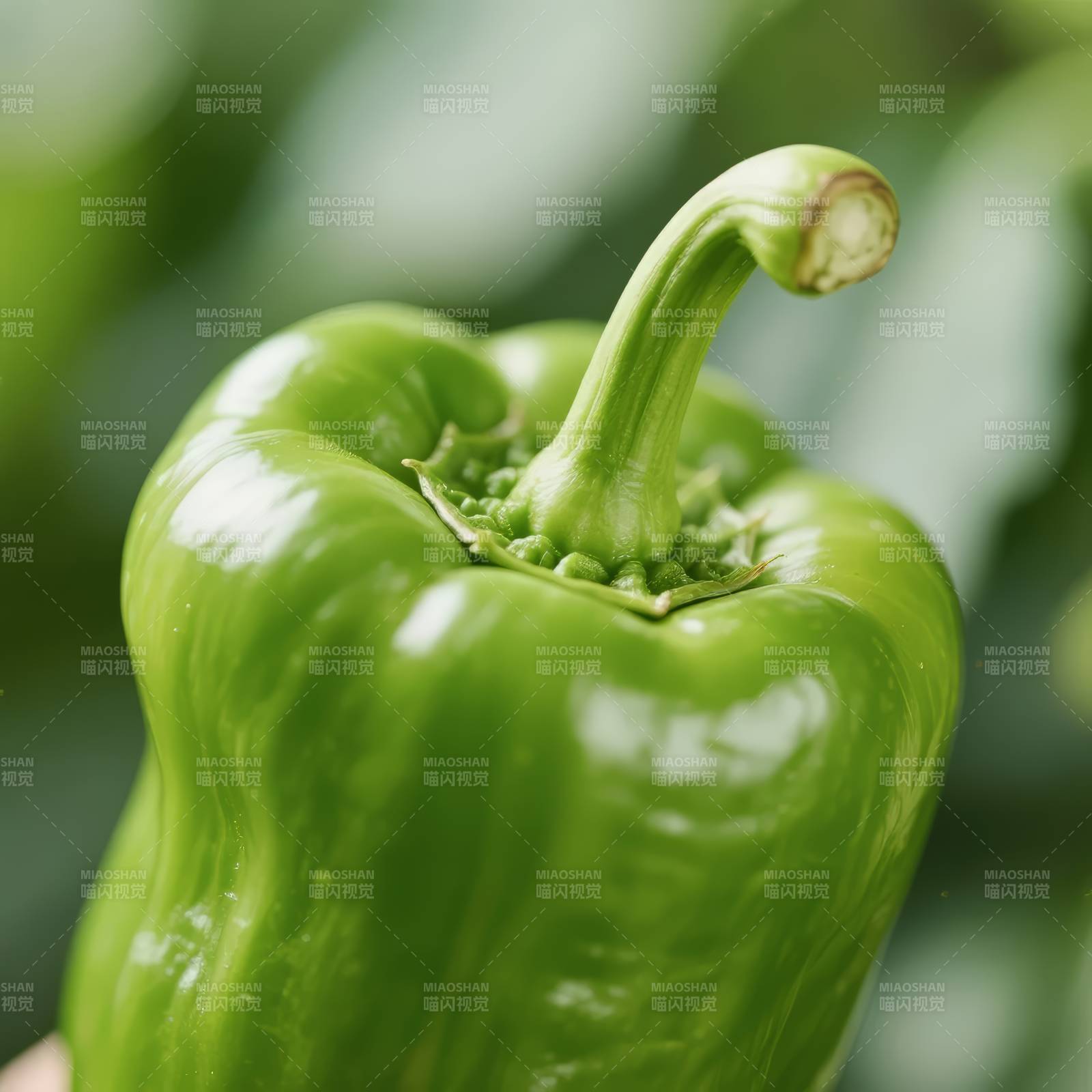 青椒特写图片