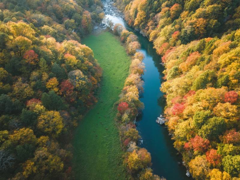 秋色斑斓的河流图片