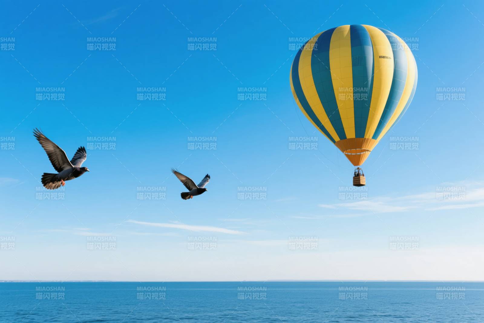 热气球与飞鸟共舞图片