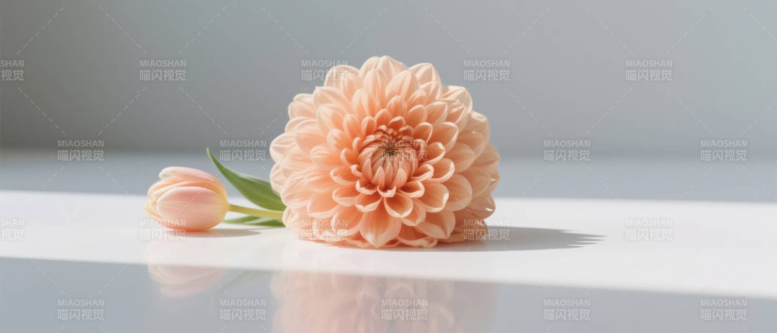 柔粉花影静谧美图片