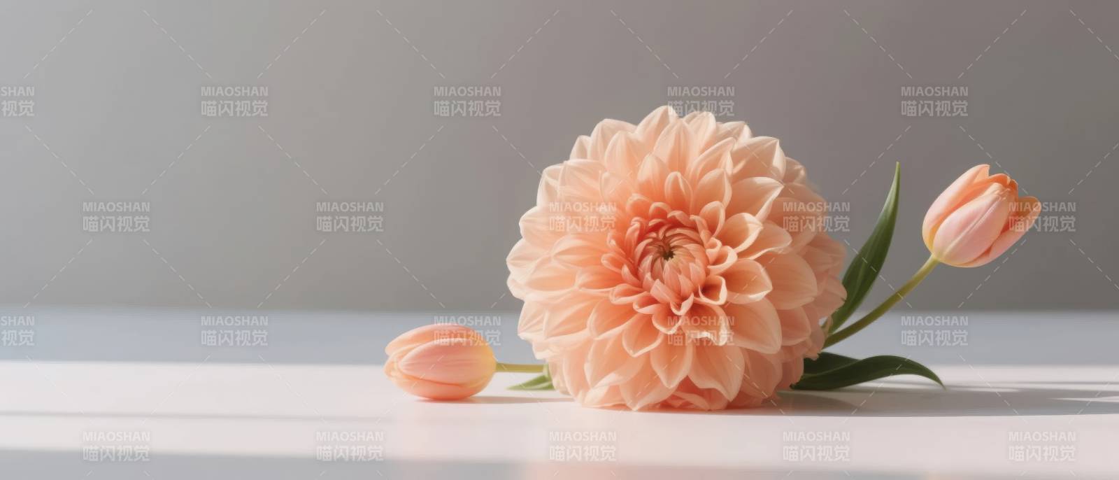 柔粉花影静谧美图片