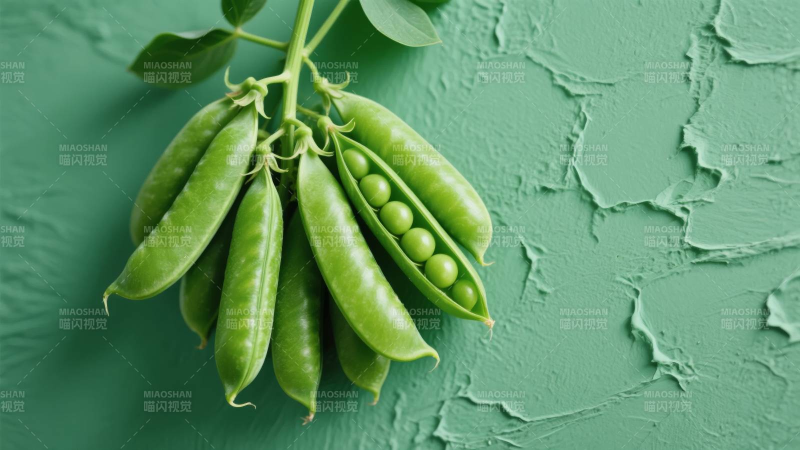 青豆荚鲜嫩诱人图片