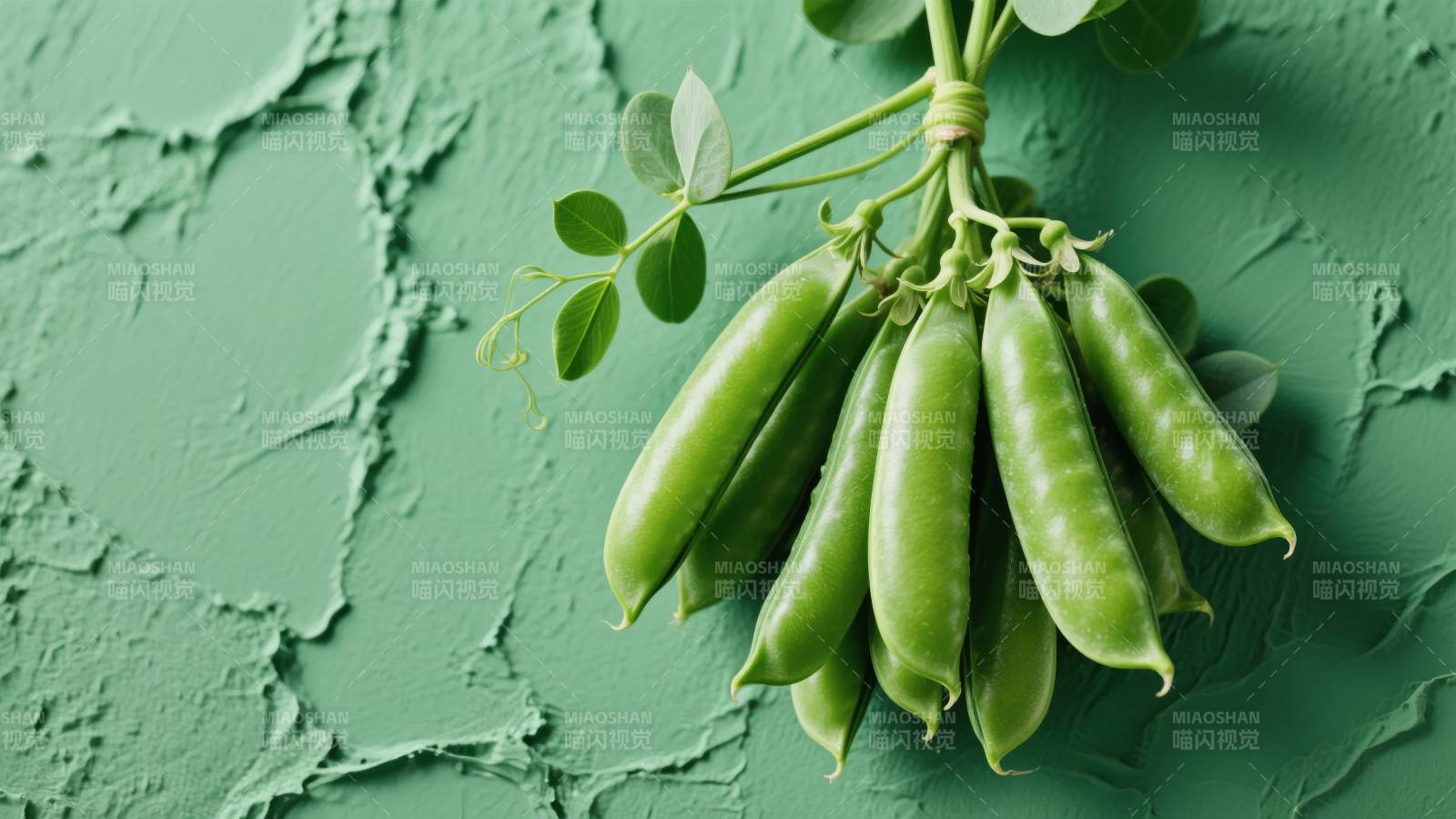 青豆荚绿意盎然图片
