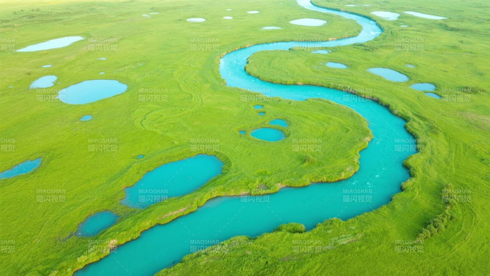 碧水蜿蜒绿野间图片