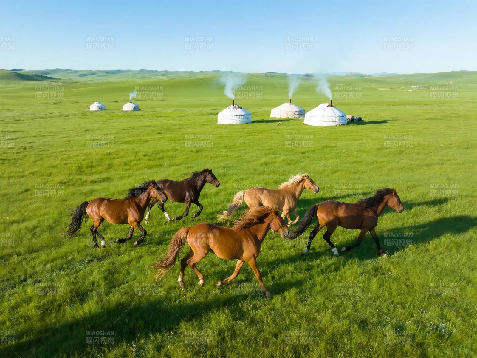 草原奔马图图片