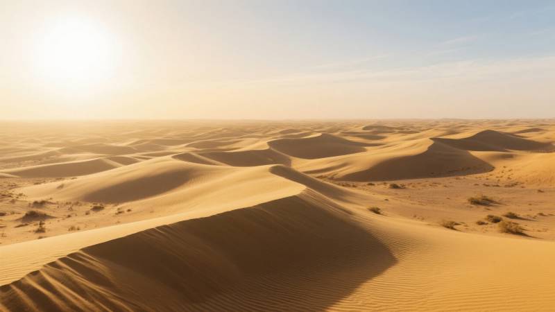 沙漠日出风光图片