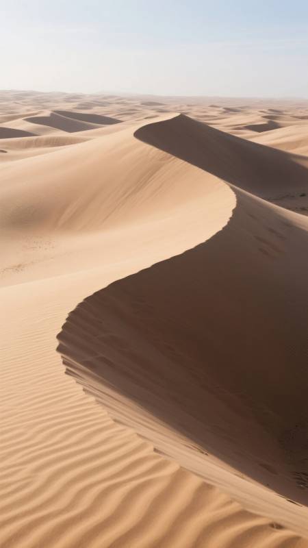 沙丘起伏 无垠沙漠图片