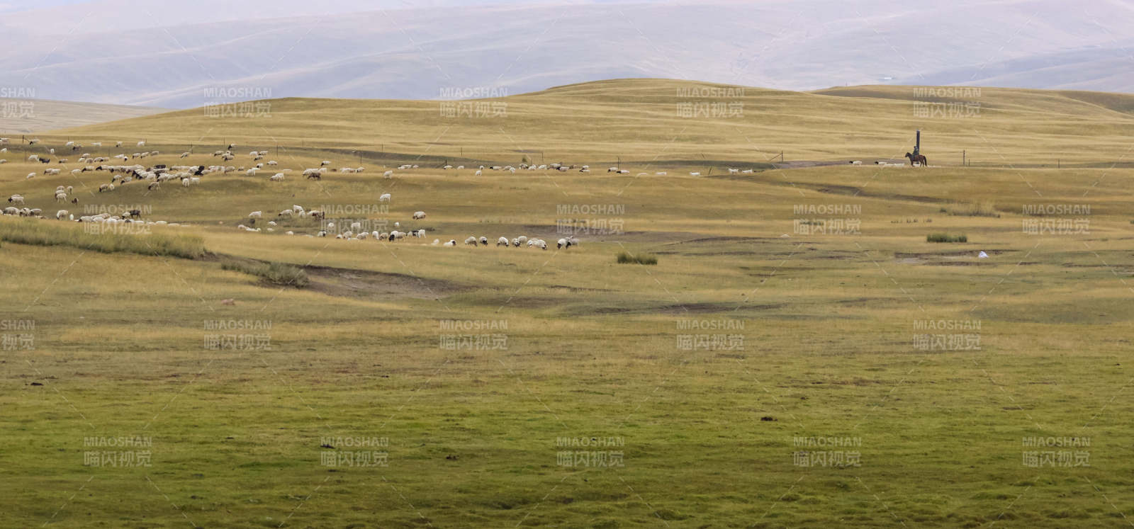 草原牧羊图图片