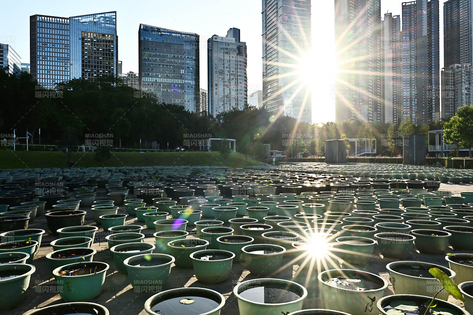 城市绿洲日出图片