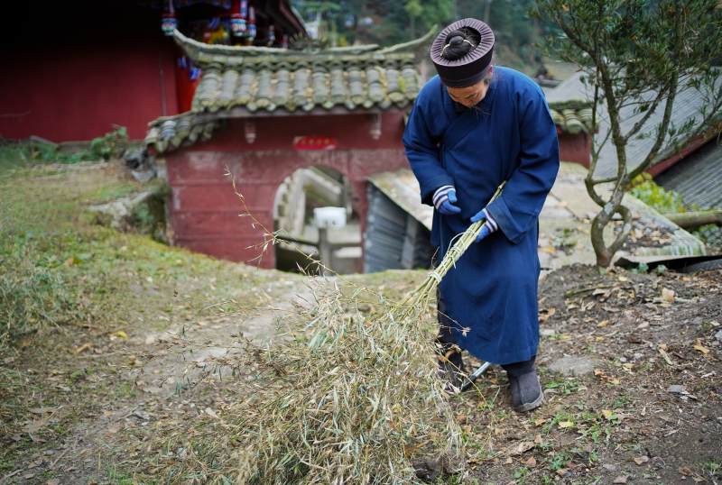 僧人扫落叶图片