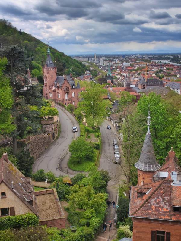 山城风光 绿树环绕图片