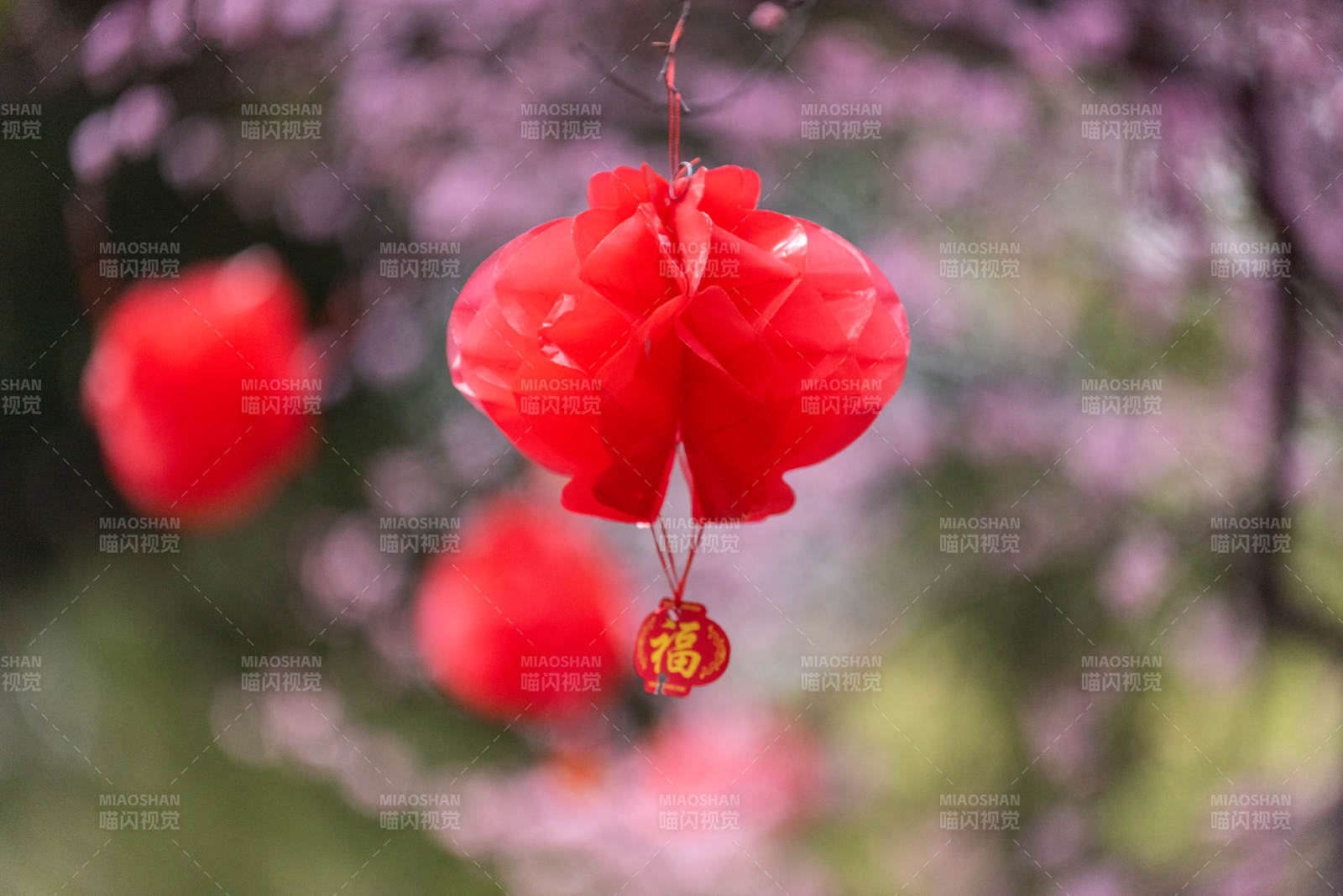 红灯笼迎春图片