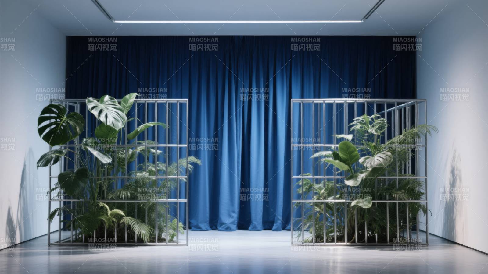 绿植与蓝幕的对话图片
