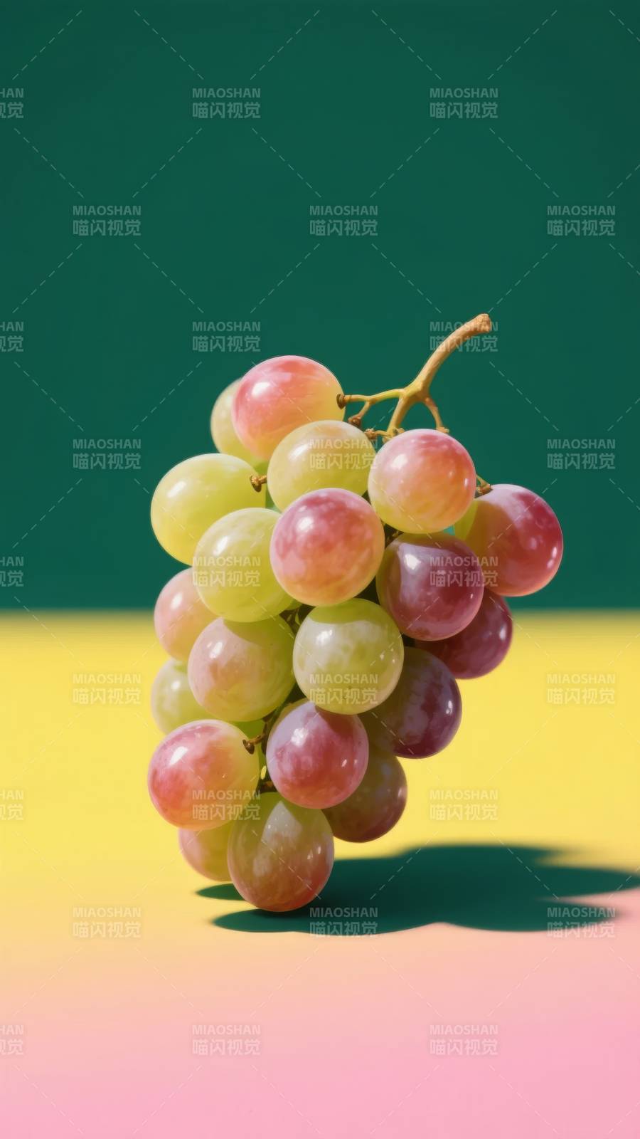 彩葡萄静物图片