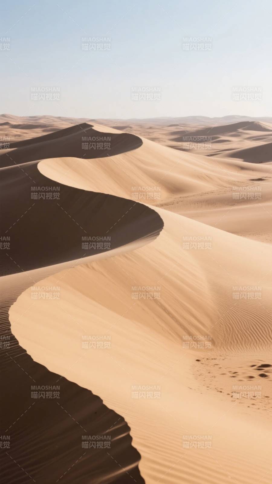 沙漠沙丘的曲线美图片