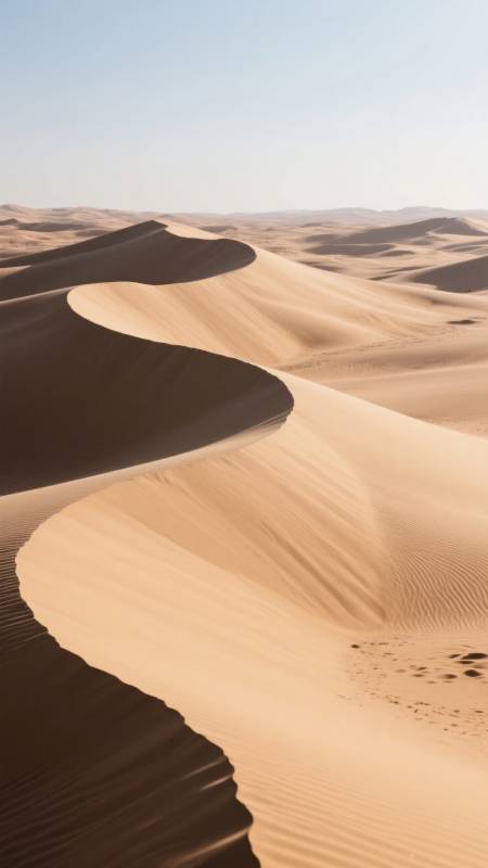 沙漠沙丘的曲线美图片