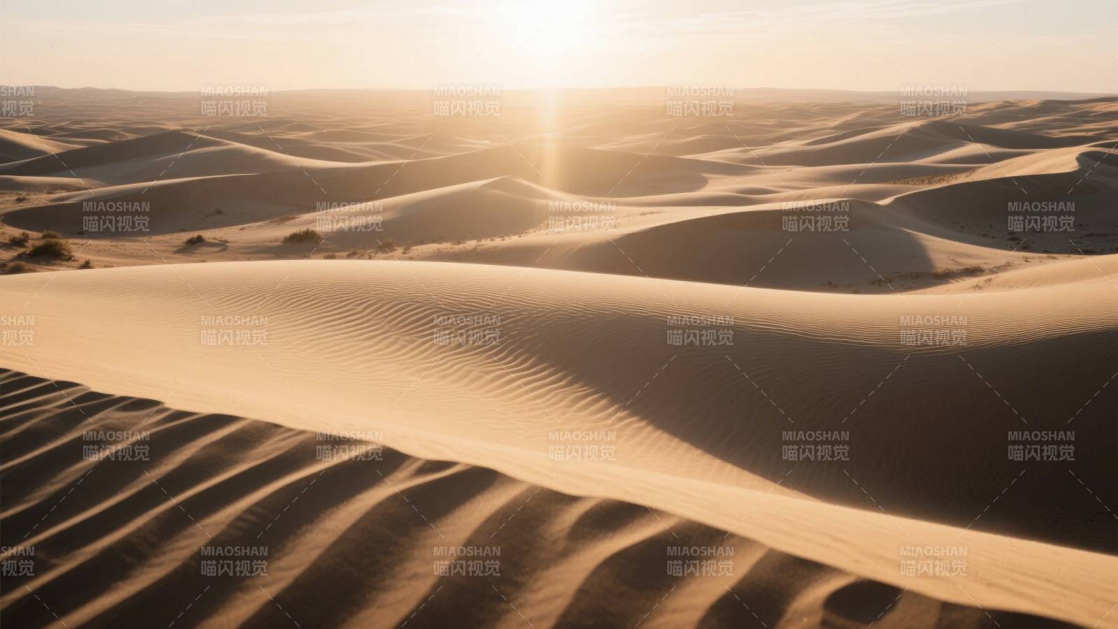 沙漠日出美景图片