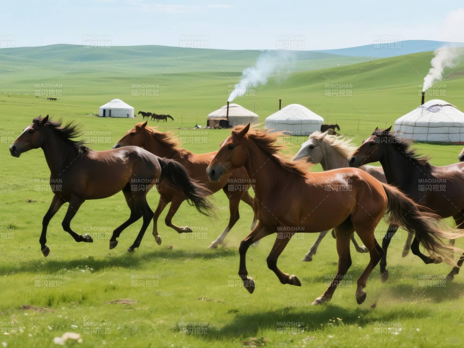 草原骏马奔腾图片