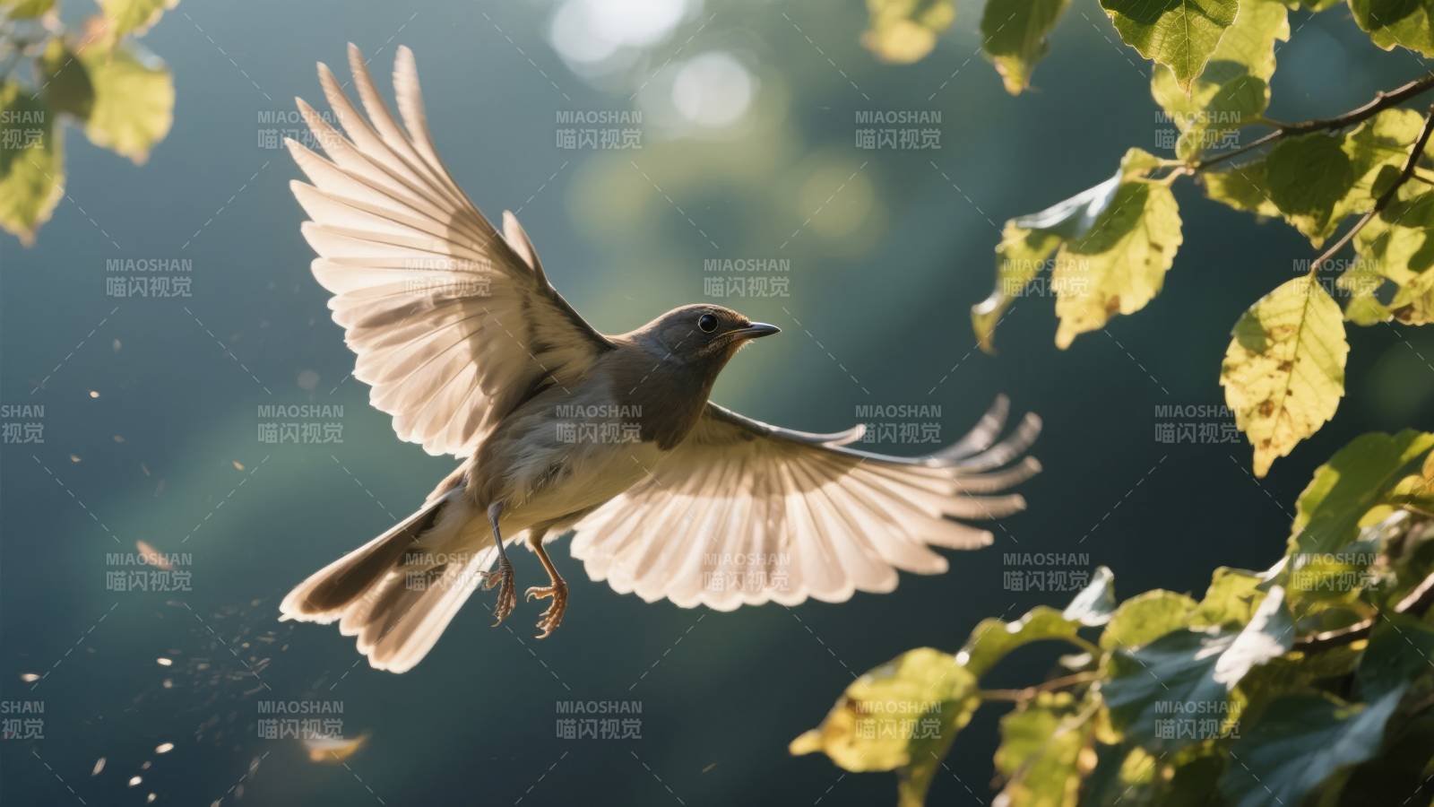 飞鸟掠过绿叶图片