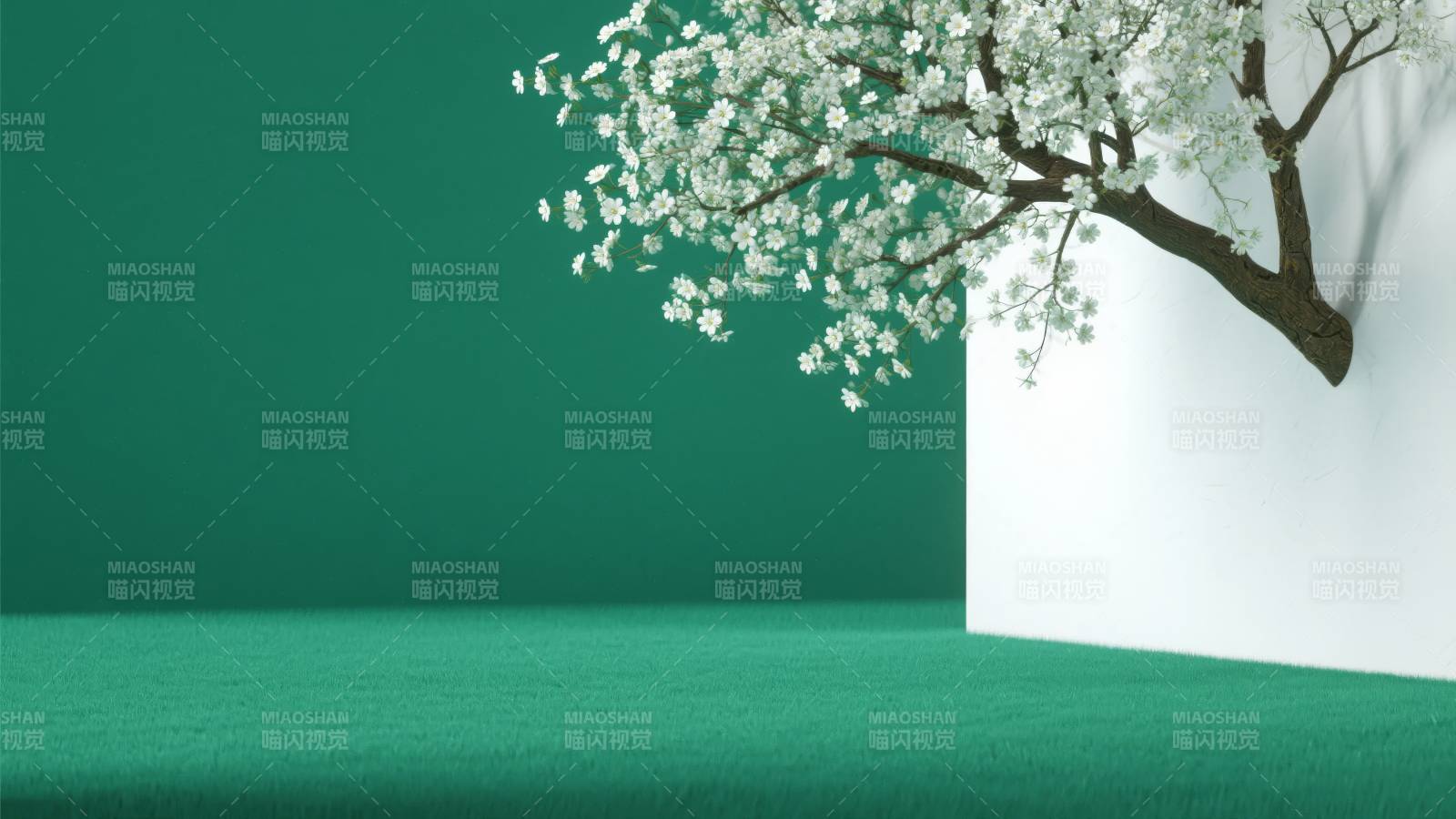 绿墙白花枝影图片