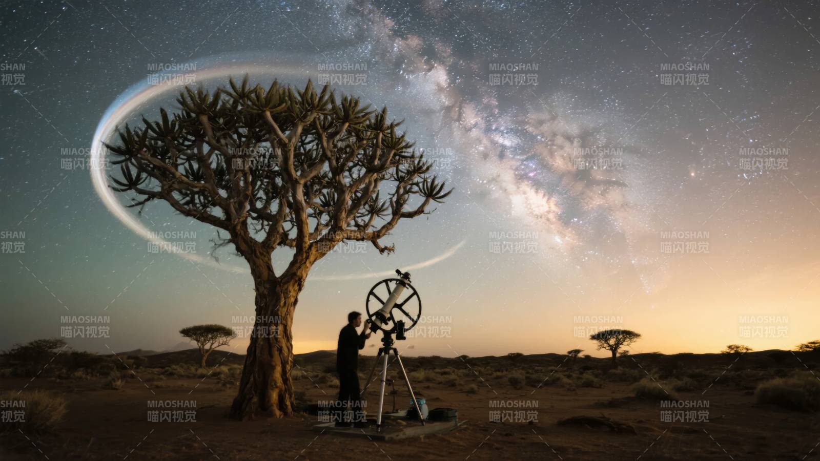 星夜下的树与天文观测图片