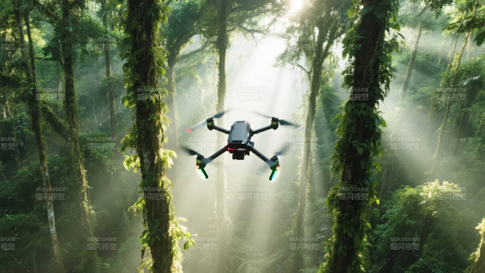 无人机穿行森林图片