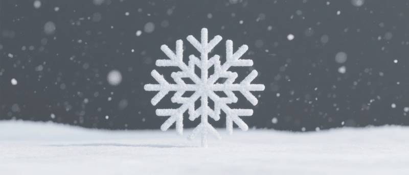 雪中晶莹雪花图片