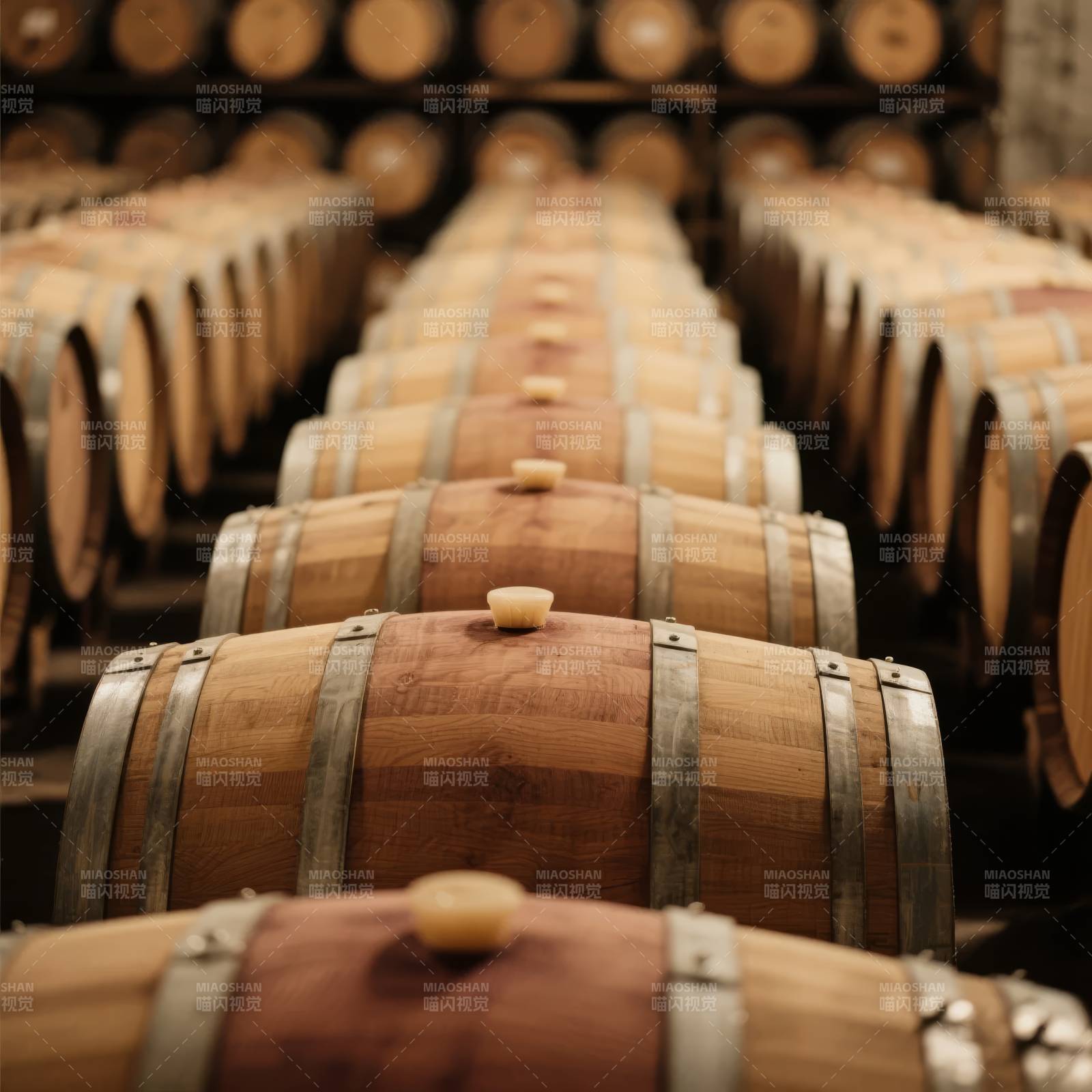 酒窖中的橡木桶图片