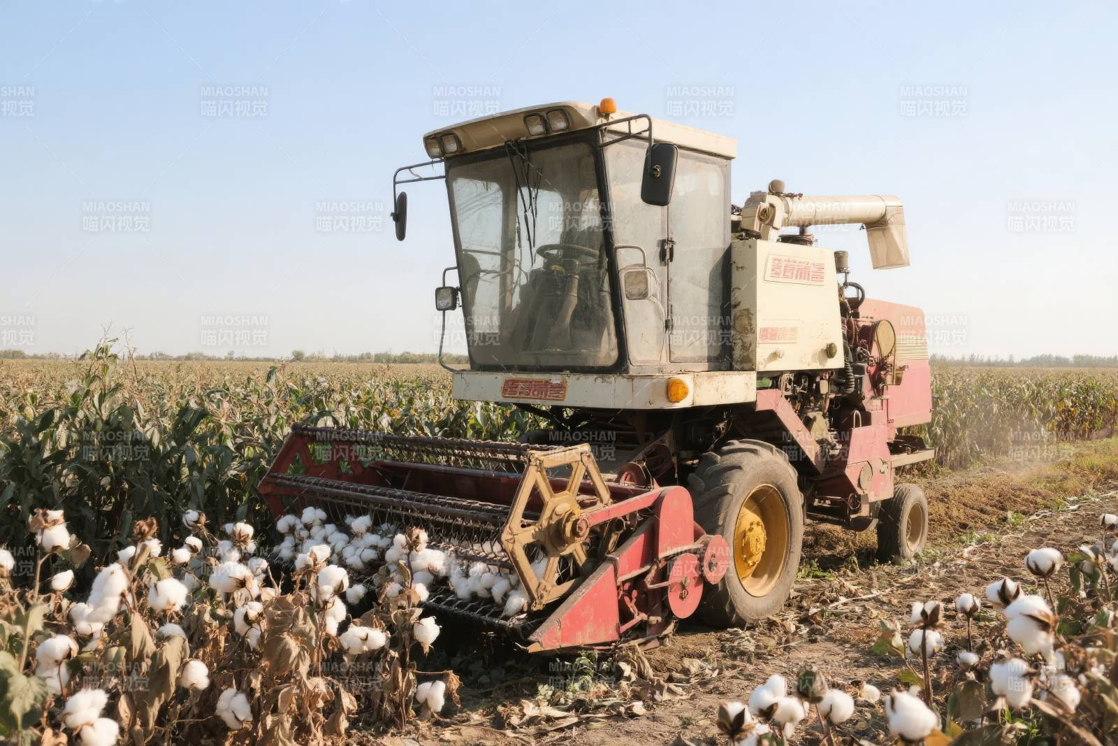 棉花收割机作业中图片