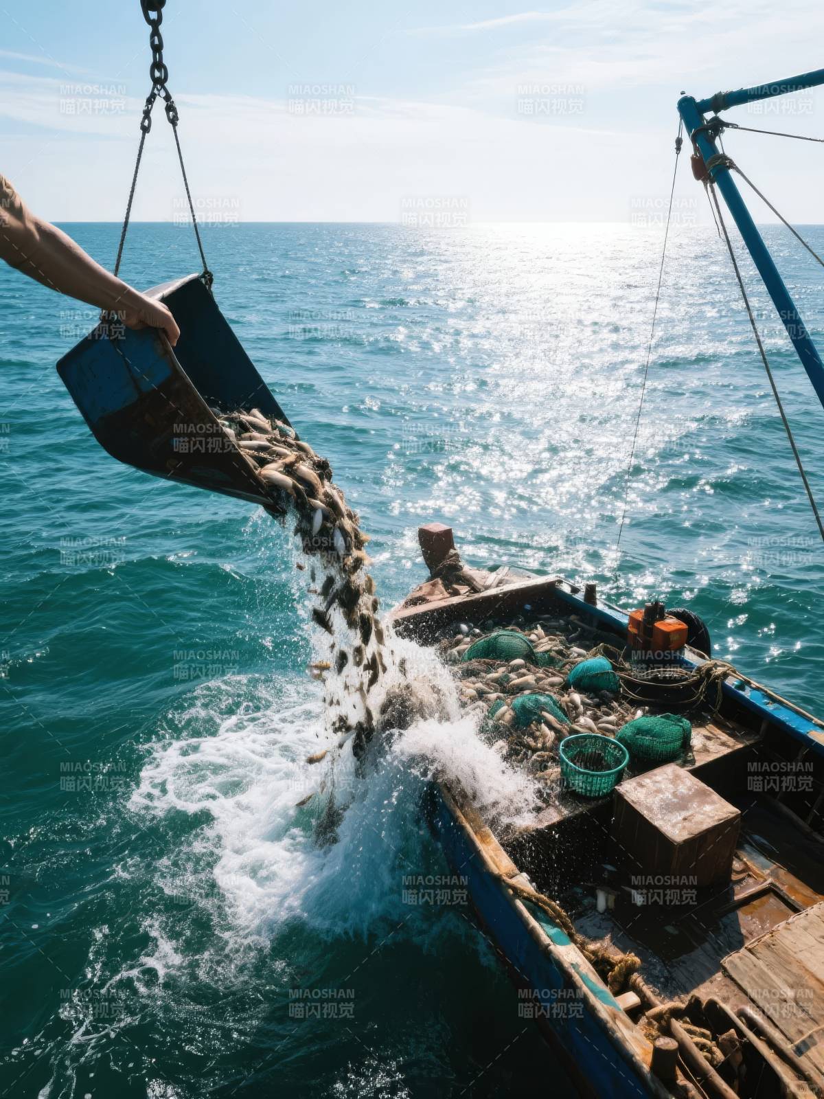 渔获倾倒入海图片