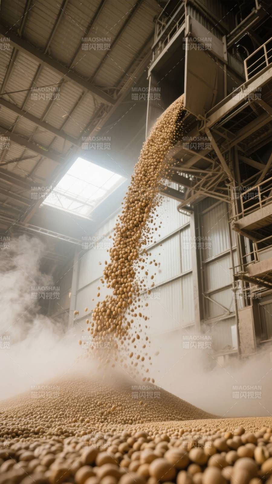 大豆倾泻入库图片