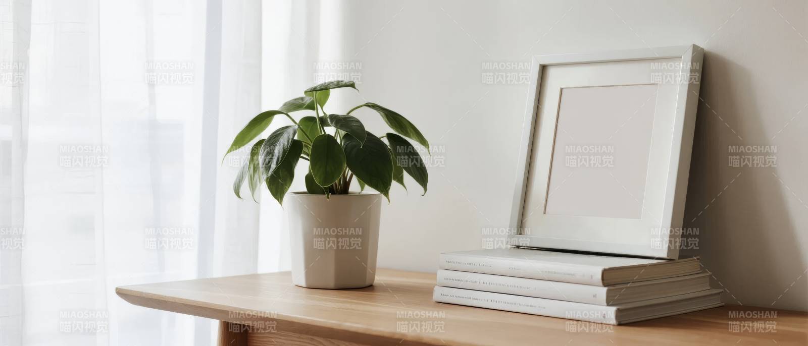 绿植与相框静物图片