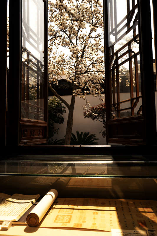 窗前春樱映古卷图片