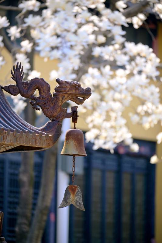 龙首铃铛春景图片