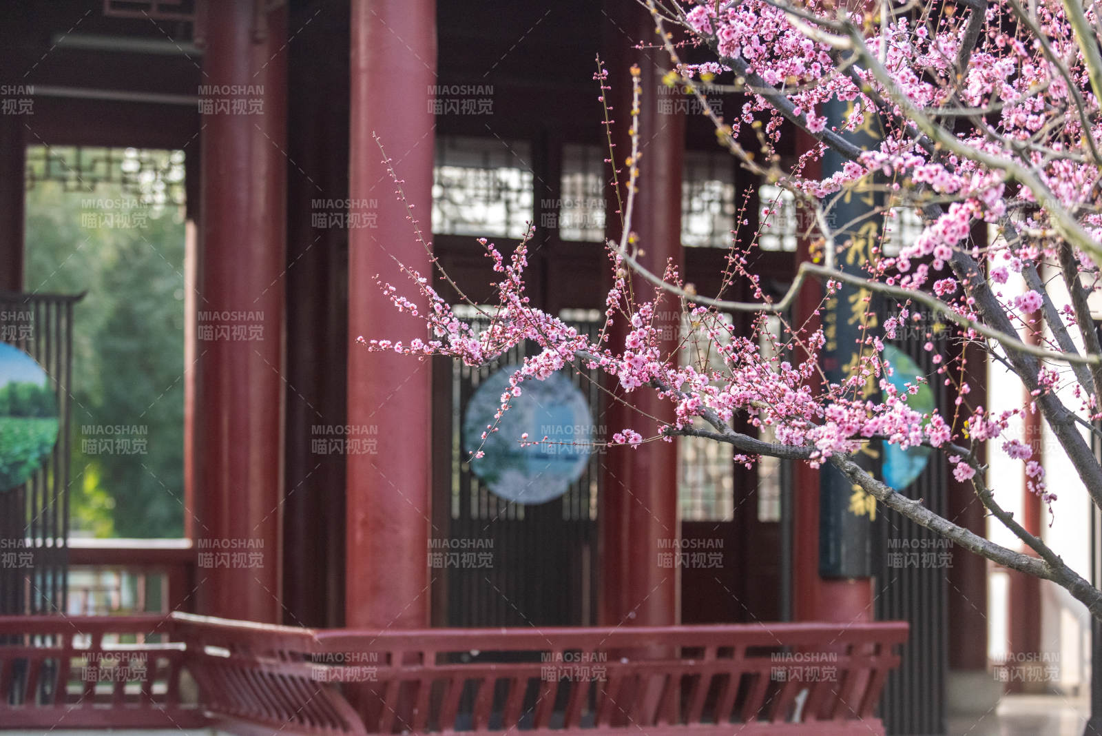 春日花影廊前图片